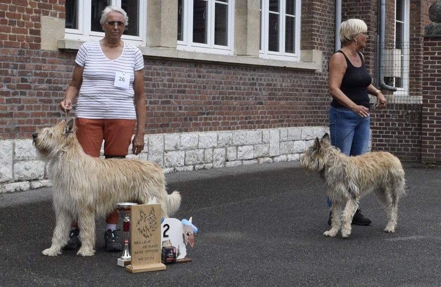 Naissances prévues mi juillet 2026