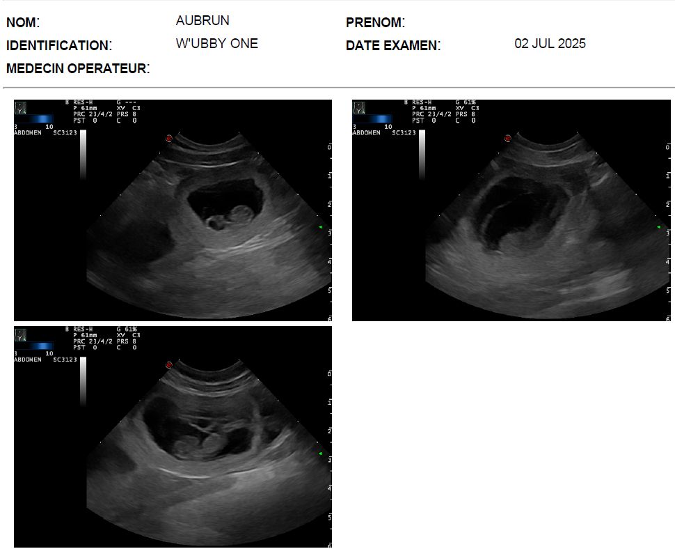 Gestation annoncée